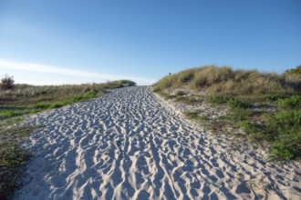 Sandweg zum Ostseestrand, Ahrenshoop, Darß, Mecklenburg-Western Pomerania, Germany