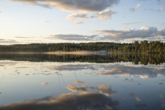 Clouds reflected on the water surface, forest lake, evening mood, at Sunne, Sweden