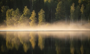 Rising fog in the evening light, lake in the forest, near Sunne, Sweden