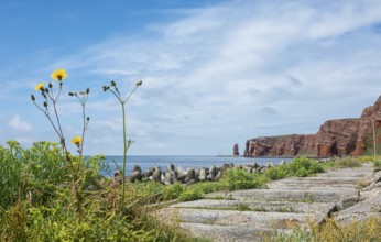 Wide, sunny coastline with concrete tetrapods by the sea, coastal protection, paved coastal strip
