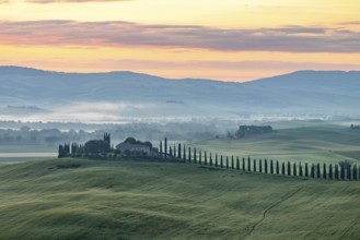 Poggio Covili estate with cypress alley (Cupressus) at sunrise, near San Quirico d'Orcia, Val