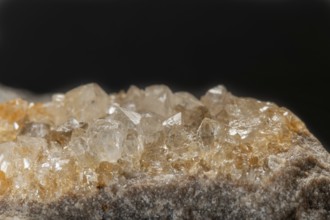 Shiny quartz crystals are visible on rock surface. The sparkle of the crystals and the texture of