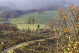 Misty autumn landscape with fields and bare trees along a path to a viewpoint, Kreuztal Siegerland