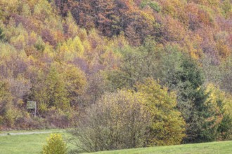 Colourful autumn forests cover the rolling hills of the countryside, Siegerland
