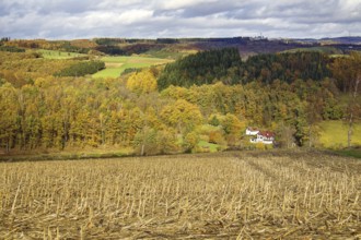 Extensive autumn landscape with fields, forests and a secluded house, Kreuztal Siegerland