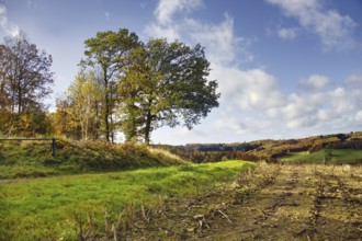 Wide landscape with fields and trees under blue sky with clouds, Kreuztal Siegerland