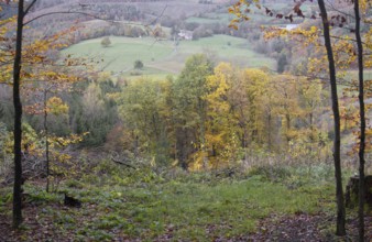 View through trees of a colorful autumn landscape with fields and forests, Kreuztal Siegerland