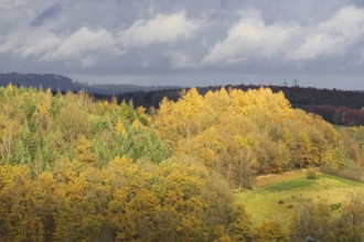 Autumn forest under cloudy sky with yellow and green leaves, Kreuztal Siegerland