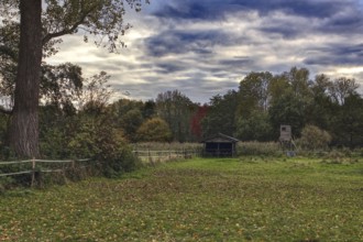 Meadow with hut and overcast sky in autumn weather, Brüggen Lower Rhine