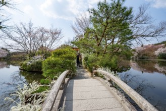 Bridge over Kyoyochi Pond in Japanese Garden, blooming cherry trees, Ryoan-ji, Zen Buddhist temple