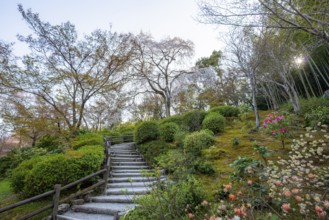Path between blooming bushes in spring, Sogenchi Teien Japanese Garden, Tenryu-ji, Zen Buddhist