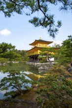 Golden Pavilion reflected in pond, Japanese garden, Golden Pavilion Temple, Kinkaku-ji reliquary,