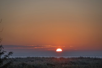 Sunrise at Bodden, Ahrenshoop, Darß, Mecklenburg-Western Pomerania, Germany