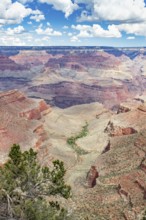 Beautiful landscape of the grand canyon, arizona