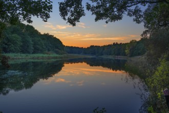 Evening light reflected in a lake, Darß, Mecklenburg-Western Pomerania, Germany