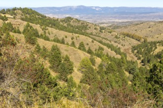 Countryside landscape view from Puerto de Sos hills south of Sos del Rey Catolico, Cinco Villas