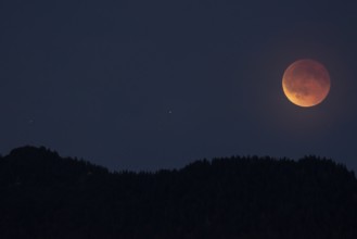 Full moon, blood moon, lunar eclipse, 2025, Upper Bavaria, Bavaria, Germany