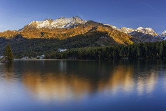 Mountains are reflected in lake, evening light, larch, autumn, autumn color, Lake Sils, Engadin,