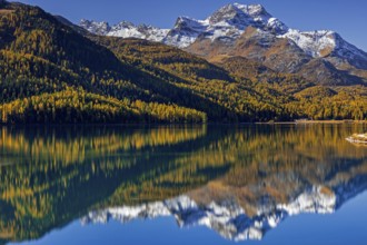 Mountain lake, reflection, mountains, larch forest, autumn discoloration, autumn, sunny,