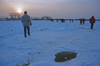 People walk across ice rink, sunset, frozen Elbe, Bleckede, Lower Saxony, Germany, February 9,