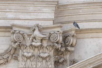 Feral dove (Columba livia) adult bird on a building with a peace dove bird sculture in the city of