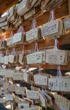Ema, small wooden tablets with wishes and prayers, hung so that the Kami spirits or gods can