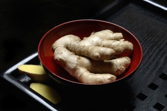 Ginger, ginger root in tea bowl, Zingiber officinale, tea preparation