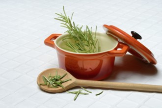 Rosemary, rosemary sprig on cooking spoon with cooking pot