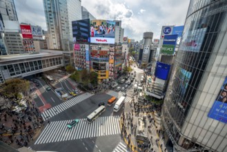 Modern houses with colorful neon signs and large road intersection, Shibuya Crossing from above,