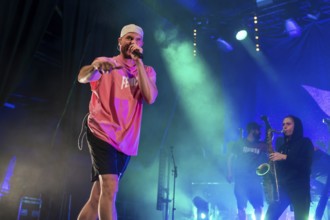 Mal Élevé (Pablo Charlemoine), singer of Irie Révoltés live on Irieunion - Le Re-Tour pour une