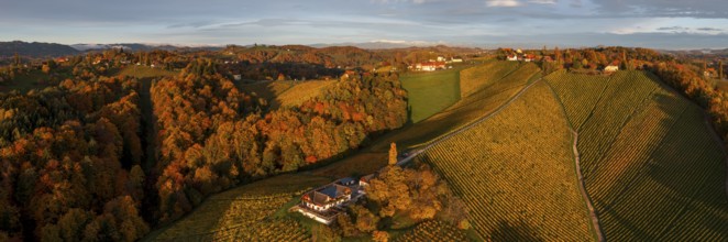 Panorama, aerial view, typical landscape in autumn with vineyards, South Styrian hills, South