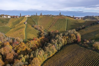 Aerial view, typical landscape in autumn with vineyards, South Styrian hills, South Styrian wine