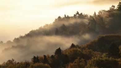 Sunrise, typical landscape in autumn with vineyards and fog, South Styrian hills, South Styrian