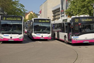 Many buses at the bus station, public transport in Hameln-Pyrmont, public transport Hameln-Pyrmont,