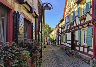 Enge gasse with half-timbered houses in the old town of Unkel, Rotweinstadt, Neuwied district,