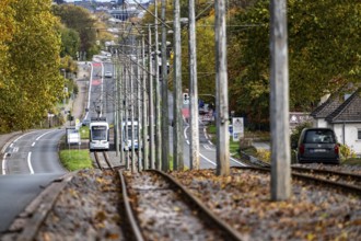Bogestra tramway, line 305, on the Wattenscheider Hellweg, tram line in the middle of the street,