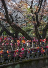 Jizo statues with red crocheted caps, guardian deities for deceased children, Unborn Children