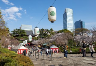 Buddhist temple complex Zojo-ji temple, cherry blossom in spring, Tokyo, Japan
