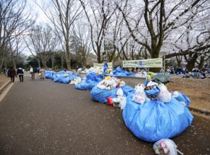 Large piles of trash at a garbage collection point, garbage bags, Yoyogi Park, Hanami Festival,