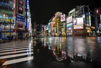 Street and neon sign, street scene at night, Tokyo, Japan