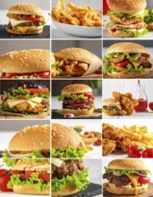 Collage of various fast food meals. beagles, hamburger, cheeseburger, french fries and a view green