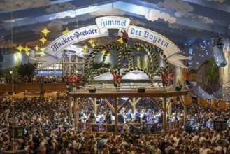 Hacker-Pschorr festival tent, Bavarian sky, interior view, Oktoberfest, Munich, Bavaria, Germany
