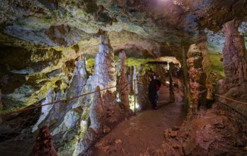 Nebelhöhle, stalactite cave in the Swabian Jura, stalactites, stalactite forest, interior view,