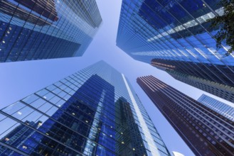 Toronto financial district skyline panorama with luxury condos and financial offices