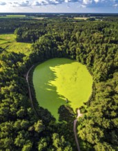 Green algae on the lake. Aerial view of nature, landscape with hills and forest in summer, cloudy