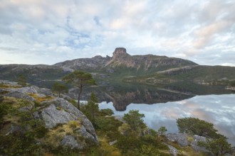 Morning dream over the quiet Steigtindvatnet near Bodø. Pine forest on the rock face at sunrise