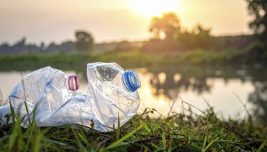 Crushed plastic water bottle waste in a wild landscape, symbol for nature protection, waste