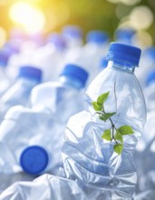 Crushed plastic water bottle waste in a wild landscape, symbol for nature protection, waste