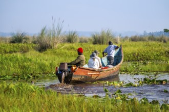 Boat with tourists in Mabamba Swamp, Tourists, Mabamba Swamp, Lake Victoria, Uganda