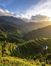 Early morning light bathes Philippines rice terraces cascading down mountain slopes, beautiful